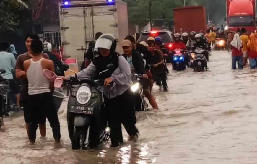 Jalur Provinsi Lumajang-Jember Lumpuh Akibat Banjir, Ratusan Motor Matik Mogok Terendam