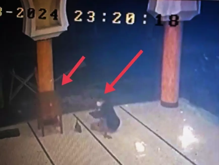 Viral di Sosmed, Pencuri Kotak Amal Masjid Al Fatah Jember Terekam CCTV 