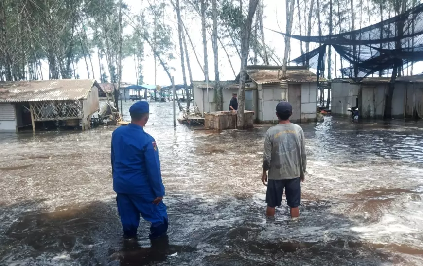 Kepungan Air Rob Rusak Puluhan Warung dan Perahu di Jember Selatan