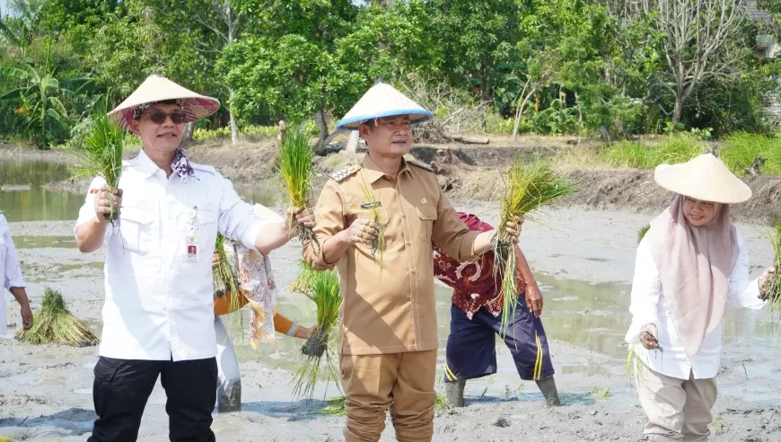 Kementerian Pertanian RI Beri Bantuan Petani Lamongan, Maksimalkan Lahan Tadah Hujan