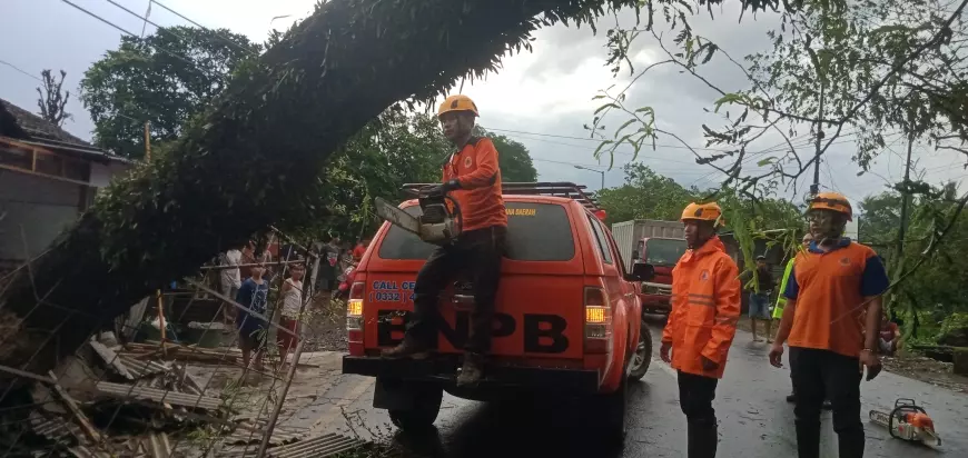 Angin Kencang di Bondowoso Tumbangkan 3 Pohon dan Rusak 20 Rumah Warga