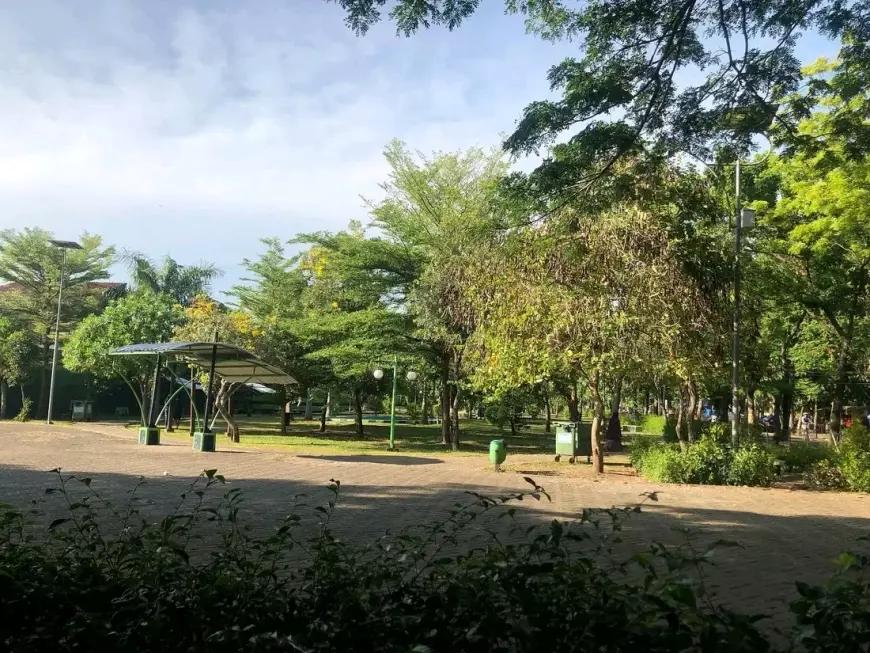 Pemkot Probolinggo Pertegas Wajah Asli Kota dengan Tanam 1000 Pohon Mangga