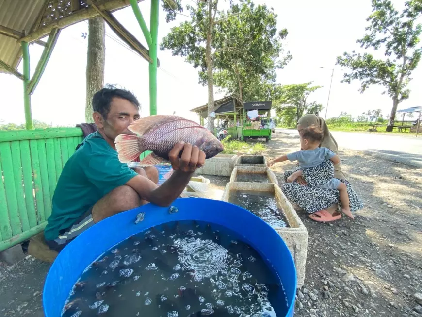 Daya Tarik Pasar Ikan Jalan Raya Provinsi Jember - Lumajang  Yang Jadi Buruan Selama Bulan Ramadan