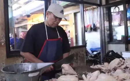 Harga Daging Ayam di Kediri Mulai Naik, Emak-emak Waspada
