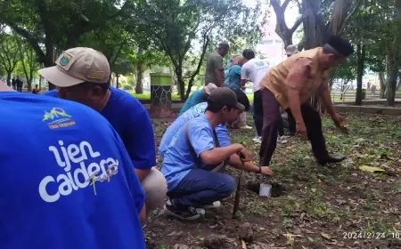 DLH Bondowoso Akan Kelola Hutan Kota