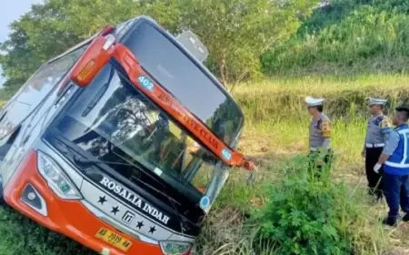 Bus Rosalia Indah Dinyatakan Dalam Kondisi Baik; Sopir Alami Microsleep