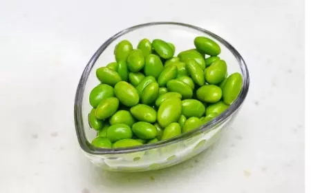 8 Sumber Protein Yang Murah dan Mudah Didapat