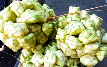 Permintaan Selongsong Ketupat Meningkat di Jember