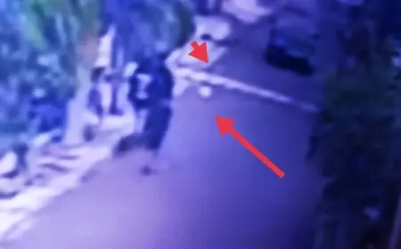 Polres Jember Segera Lidik 4 Pemuda Diduga Aniaya Anjing Hingga Tewas
