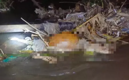 Pemancing Ditemukan Tewas Membusuk di Sungai Concrong Banyuwangi