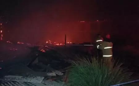 Kandang Ayam di Banyuwangi Terbakar, 28 Ribu Ayam Mati Terpanggang