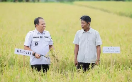Panen Padi Pupuk Organik, Bupati Jember: Bisa Dicontoh Desa Lain