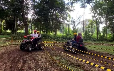 Perkebunan Karet Wisata Glantangan Jember untuk Wisata Pacu Adrenalin
