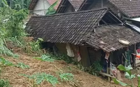 Tebing Setinggi 20 Meter Longsor dan Timpa Rumah Warga di Trenggalek