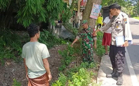 Hendak Nonton Festival Pegon, Pasutri di Jember Tabrak Pohon
