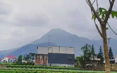 Triwulan Pertama, Angka Investasi Batu Capai Rp 437 Miliar