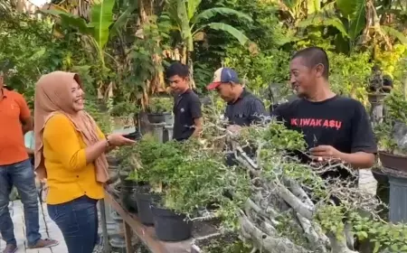 Penghobi Bonsai Bojonegoro Bentuk Pasar Khusus