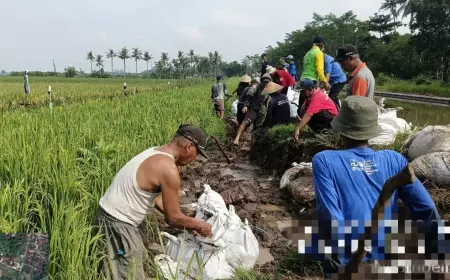 PU Bina Marga Serta Hippa Perbaiki Saluran Sekunder untuk Ribuan Hektar Sawah