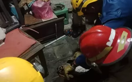 Kisah Lengkap Meninggalnya Wanita Bojonegoro yang Jasadnya Dijaga Anjing
