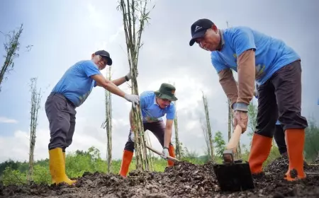 DLH Surabaya - PLN Tanam 400 Pohon Bambu di Area Zona Hijau TPA Benowo