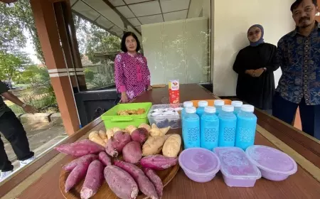 UM Optimalkan Penanaman Sumber Daya Genetik Pangan Lokal