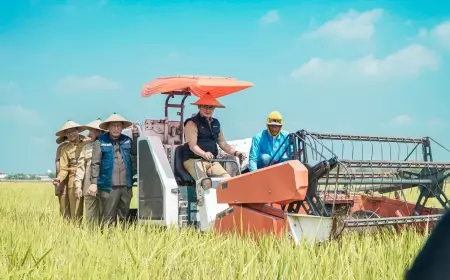Panen Padi di Lamongan Triwulan I 2024 Berhasil, Petani Cicip Manisnya Kesuksesan
