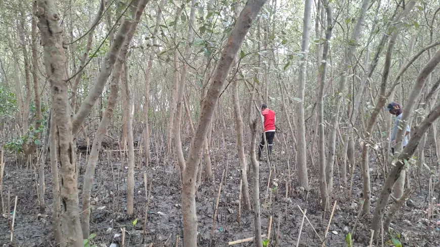 Guna Hijaukan Surabaya, Wisma Jerman Luncurkan Program "1.000 Trees Campaign"