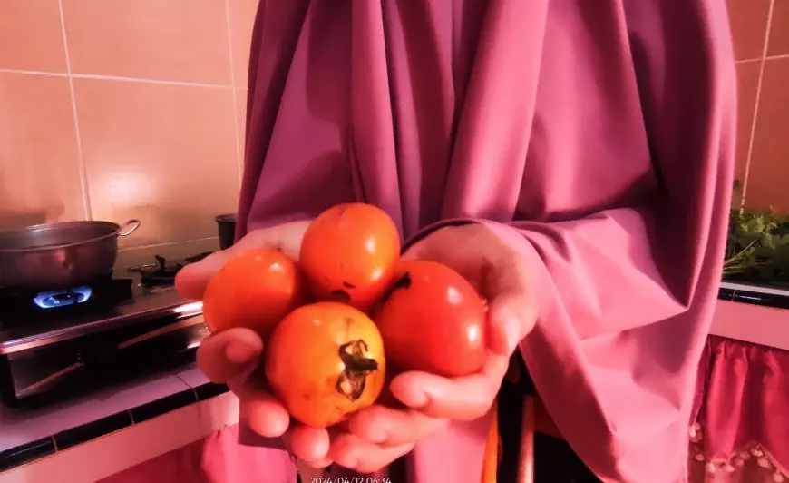 Harga Tomat di Jember Tembus Rp 40 Ribu