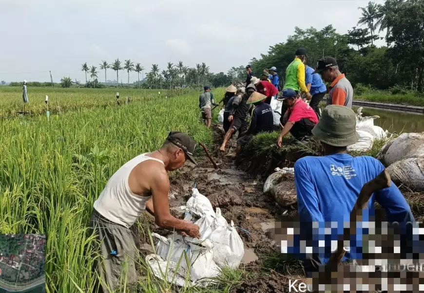 PU Bina Marga Serta Hippa Perbaiki Saluran Sekunder untuk Ribuan Hektar Sawah