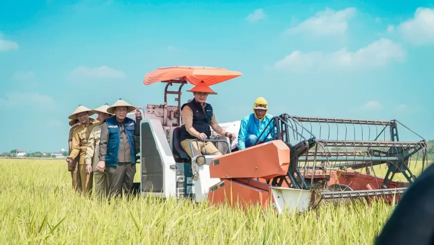 Panen Padi di Lamongan Triwulan I 2024 Berhasil, Petani Cicip Manisnya Kesuksesan