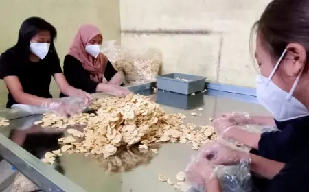Penerapan UMK Kota Batu Masih 33 Persen