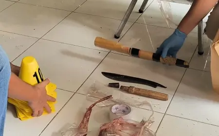 Ini Motif Wanita Pelaku Pembacokan di Hotel Red Doorz Bojonegoro