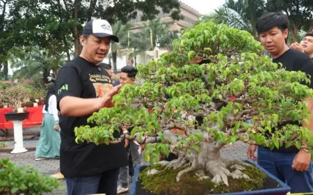 Datangi Pameran Bonsai, Bos Tajimas Bagi-bagi Bonsai Gratis