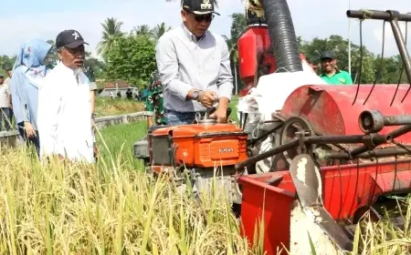 Bondowoso Bersiap Hadapi El Nino