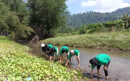 Universitas Negeri Malang Galakkan Konservasi Mangrove untuk Bioremediasi