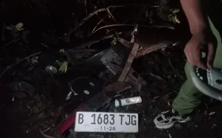 Sebuah Mobil Masuk Jurang di Kawasan Kawasan Hutan TNBTS, 4 Orang Dikabarkan Meninggal Dunia