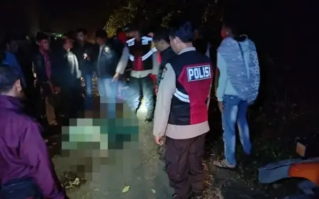 Sebuah Mobil Wisatawan Masuk Jurang di Kawasan Hutan TNBTS