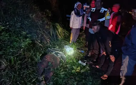 Tragedi Mobil Masuk Jurang Jalur TNBTS, Ini Kronologi Kejadiannya