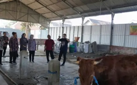 Jelang Idul Adha, Pj Wali Kota Mojokerto Cek Kondisi Kesehatan Hingga Pemotongan Hewan