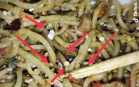 Viral Wanita di Jember Temukan Telur Lalat di Mie Gacoan 