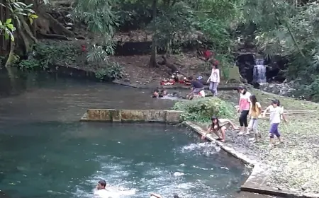 Jaga Kelestarian Air, Perum Perhutani KPH Malang Bakal Tertibkan Daerah Tangkapan Air Kota Batu