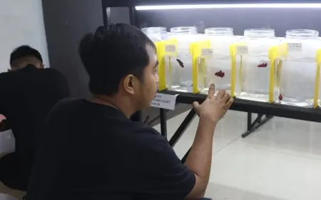 Bettaphoria, Kontes Ikan Cupang Berhadiah Jutaan Rupiah