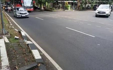Percantik Tampilan Taman, DLH Kota Malang akan Perbaiki Median Jalan Veteran