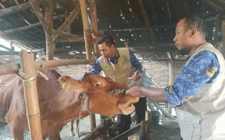 Ada Inovasi Terbaru dari DKPP Kota Mojokerto, Simak Selengkapnya