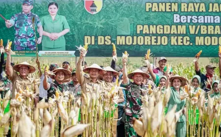 TNI Tingkatkan Produktivitas Komoditi Jagung di Kabupaten Lamongan