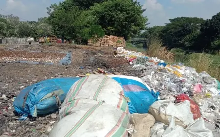 Petugas DKP Bangil Pasuruan Diduga Bakar Sampah Perusahaan Tidak Sesuai Teknis