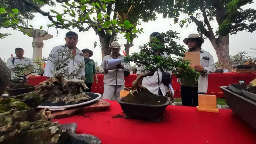 Ratusan Bonsai Ikut Pameran dan Kontes Nasional Pertama di Kediri