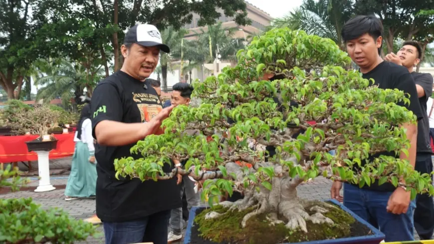 Datangi Pameran Bonsai, Bos Tajimas Bagi-bagi Bonsai Gratis