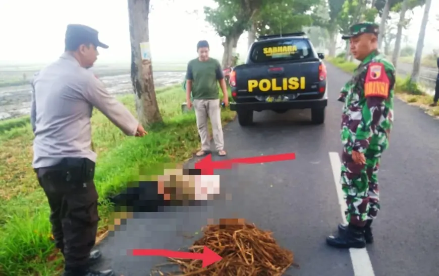 Seorang Pria Ditemukan Tewas di Jalan Desa Diduga Korban Tabrak Lari