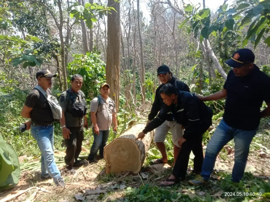 Polres Malang Ringkus Pelaku Pencurian Kayu Jati